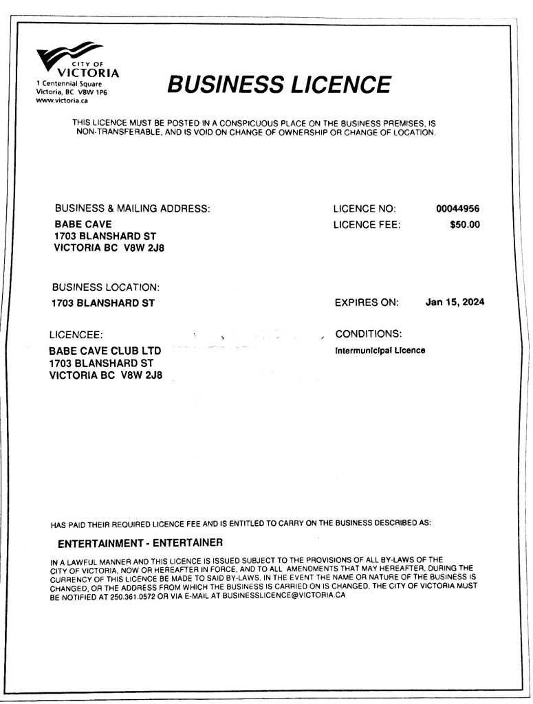 babe cave business license